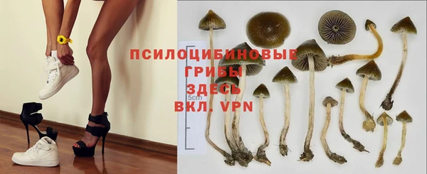 гидра Белоозёрский