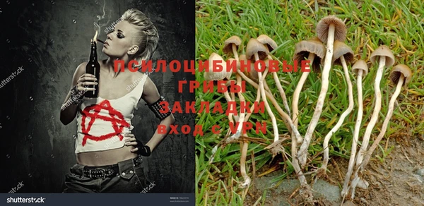 не бодяженный Беломорск