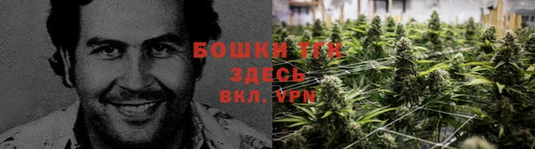 не бодяженный Беломорск