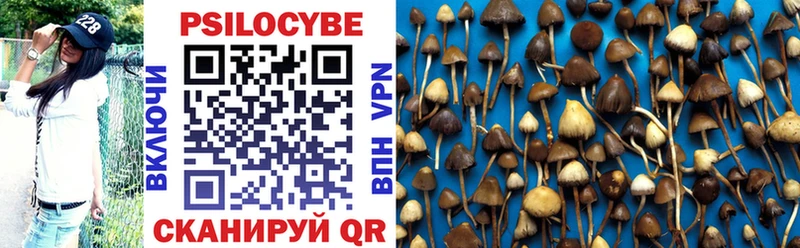 Галлюциногенные грибы Cubensis гидра ССЫЛКА Козельск